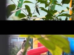 -博雅教育(西局南街)