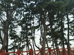 -养马岛旅游度假区
