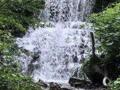 -素山寺森林公园