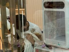 -momokira米努特·德文卷毛猫·棉花面纱犬