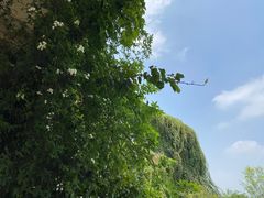 -府河摄影公园