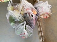 -庞各庄翠芳园西瓜蔬菜基地采摘园