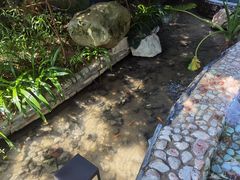 -汇雅温泉