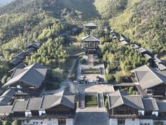 -大唐贡茶院