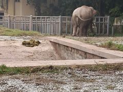 -重庆动物园·东二门售票处