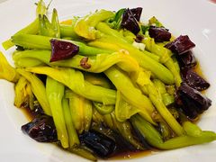 -凯鸽酒楼(大同振兴街店)