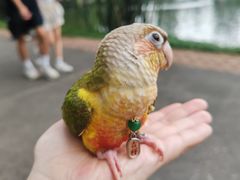 -晓港公园