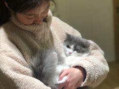 -猫腻·猫咖·撸猫馆(星光大道店)