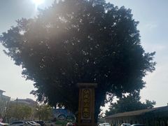 -侠成水上农庄(工业大道店)