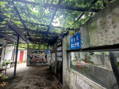 -东湖小天池真人CS彩弹野战基地