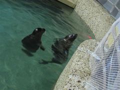 IMG_0062-绿色时代大酒店