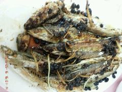 -阿水土鸡(远光店)