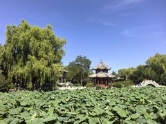 -莲池书院博物馆