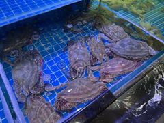 -渔民船说·北塘海鲜·天津菜·海肠捞饭(北塘古镇店)