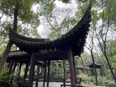 -上海佘山国家森林公园天马山园