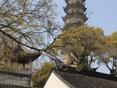 -苏州上方山国家森林公园