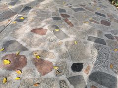 -揭东万竹园旅游景区