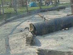 -哈尔滨北方森林动物园