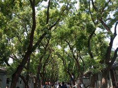 -北京国子监胡同
