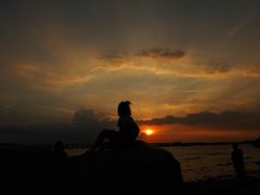 -宝安西湾红树林湿地公园