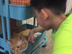 -小时光咖啡馆(开森度假森林店)