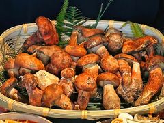 -滇野云南野生菌餐厅(陕西南路店)