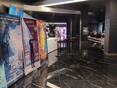 -奥斯卡升龙国际影城(RealD Cinema)