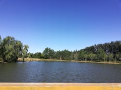 -东郊湿地公园