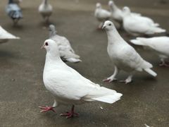 -法门文化景区