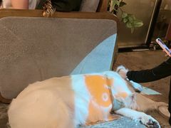 -咖法森林·咖啡  酒吧(天河店)