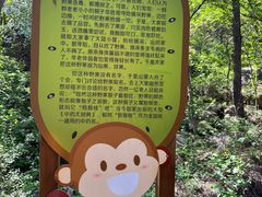 -大岭沟猕猴桃谷风景区