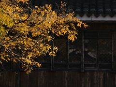-青果巷历史文化街区
