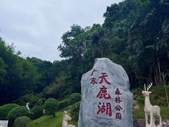 -天鹿湖森林公园