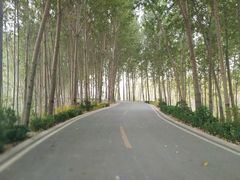 -白洋淀景区