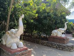 -西双版纳傣族园