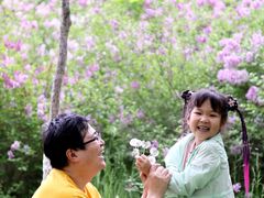 -小绿谷公园