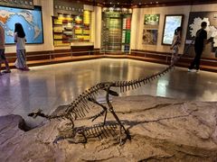 -自贡恐龙博物馆