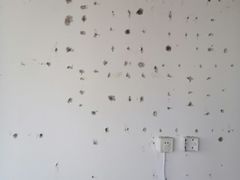 -菲迪科尔墙衣(集美家居定慧桥店)