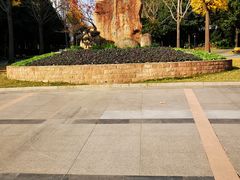 -苏州河梦清园环保主题公园