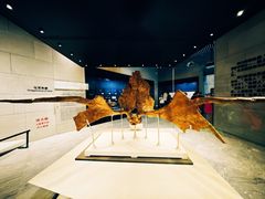 -北京周口店北京人遗址博物馆