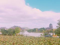 -桂林园博园