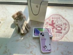 -Apple零售店(苏州店)