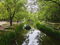 -上海共青森林公园