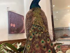 -八闽饭店闽南小镇(铁西店)