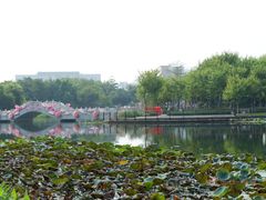 -映月湖公园
