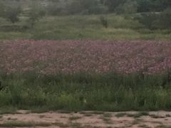 -笔架山庄游泳馆