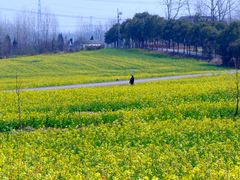 -崔岗艺术村