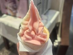 -鸽舞笙平金牌烧鸽子·融合菜(鲁谷店)
