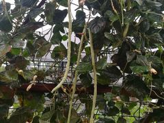 润记农家菜既豆角-润记农家菜