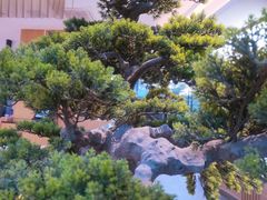 -马家斑.鲜鱼火锅(松湖万科店)